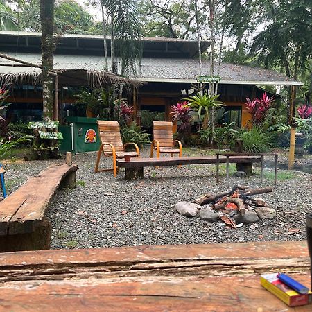 La Palapa Hut Nature Hostel Puerto Jiménez Extérieur photo