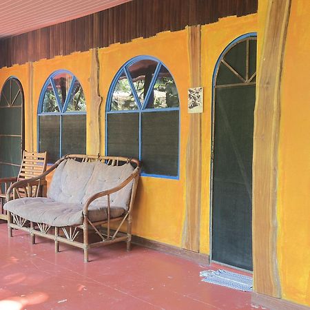 La Palapa Hut Nature Hostel Puerto Jiménez Extérieur photo