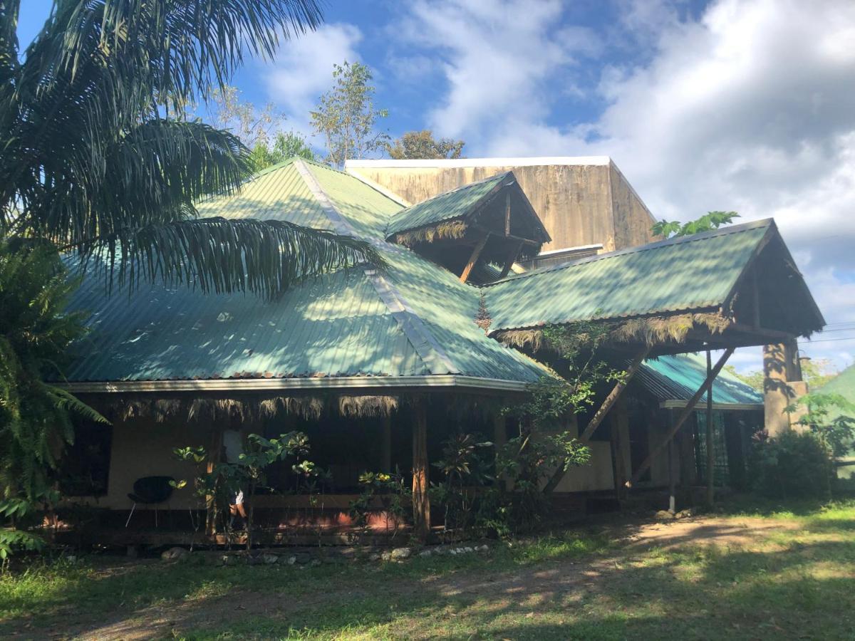 La Palapa Hut Nature Hostel Puerto Jiménez Extérieur photo