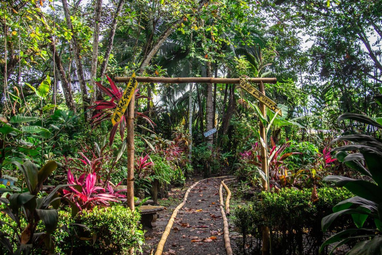 La Palapa Hut Nature Hostel Puerto Jiménez Extérieur photo