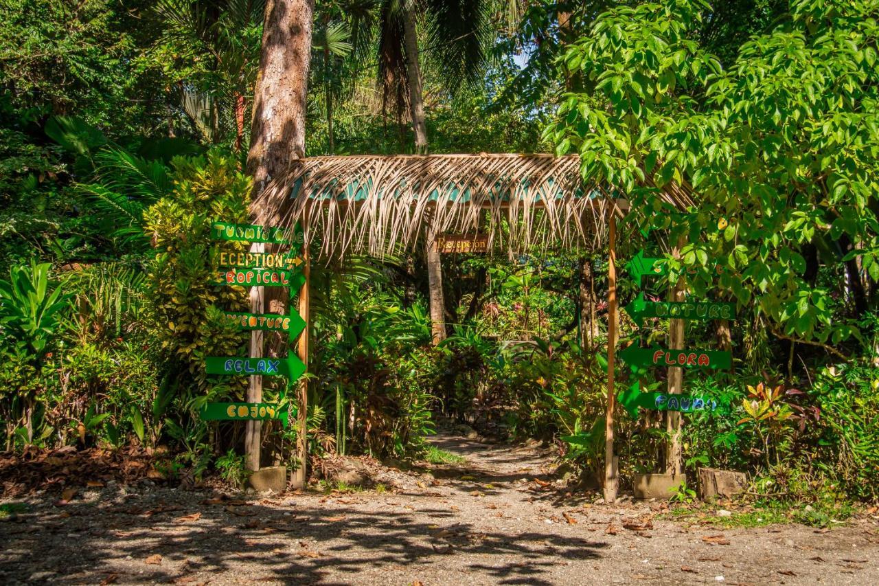 La Palapa Hut Nature Hostel Puerto Jiménez Extérieur photo