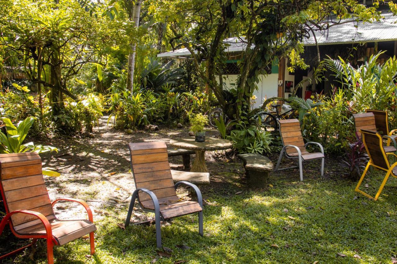 La Palapa Hut Nature Hostel Puerto Jiménez Extérieur photo