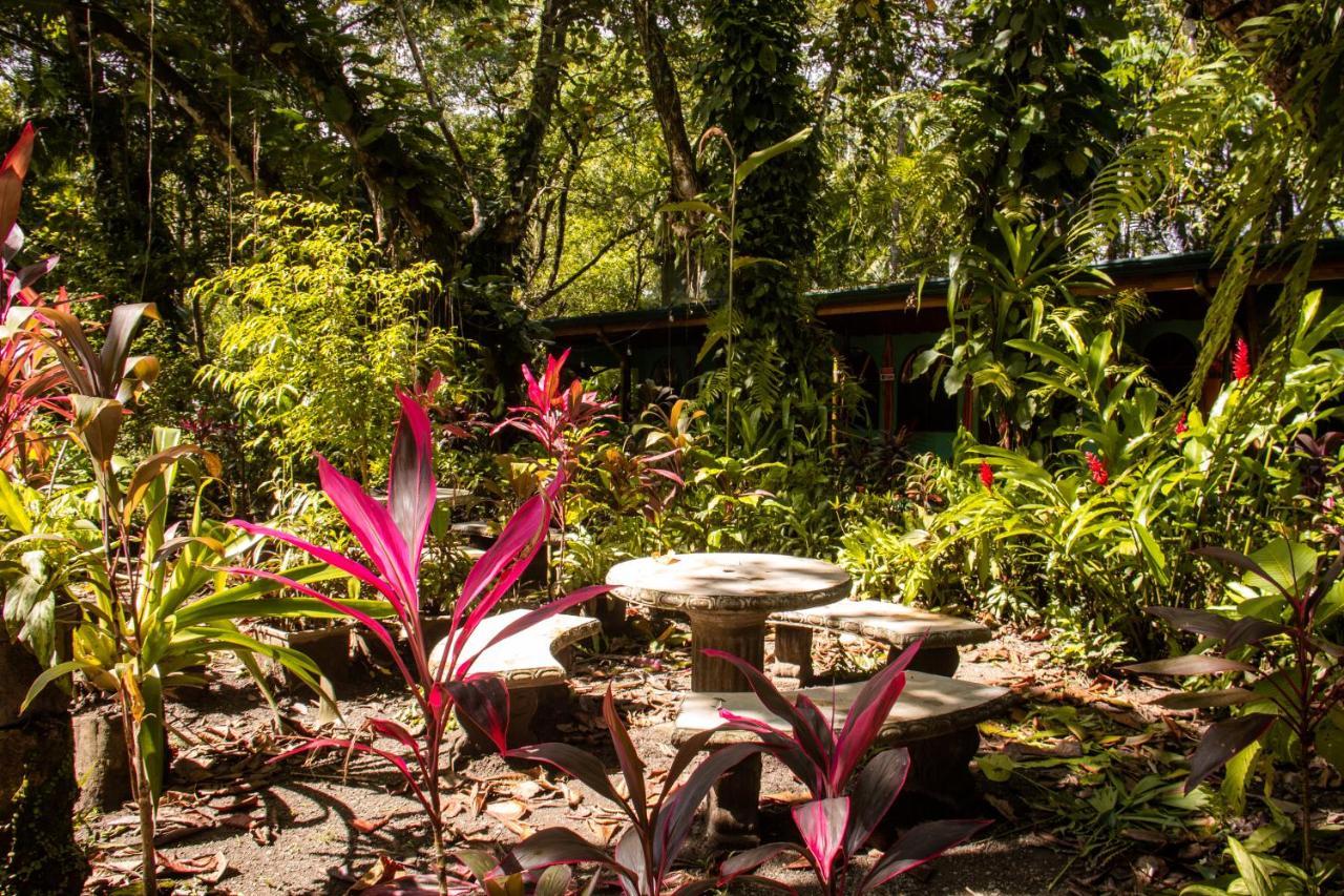 La Palapa Hut Nature Hostel Puerto Jiménez Extérieur photo