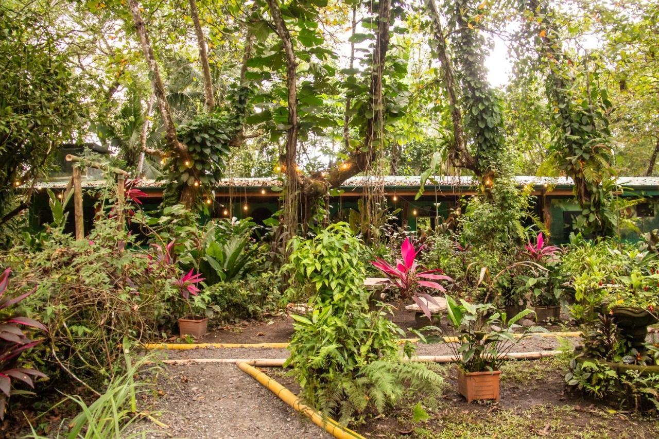 La Palapa Hut Nature Hostel Puerto Jiménez Extérieur photo