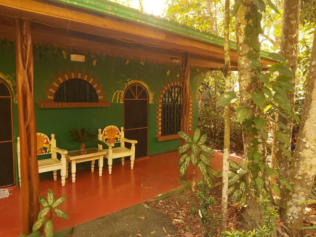 La Palapa Hut Nature Hostel Puerto Jiménez Extérieur photo