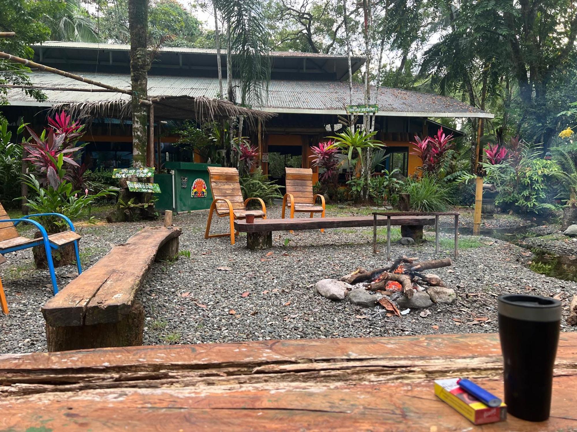 La Palapa Hut Nature Hostel Puerto Jiménez Extérieur photo